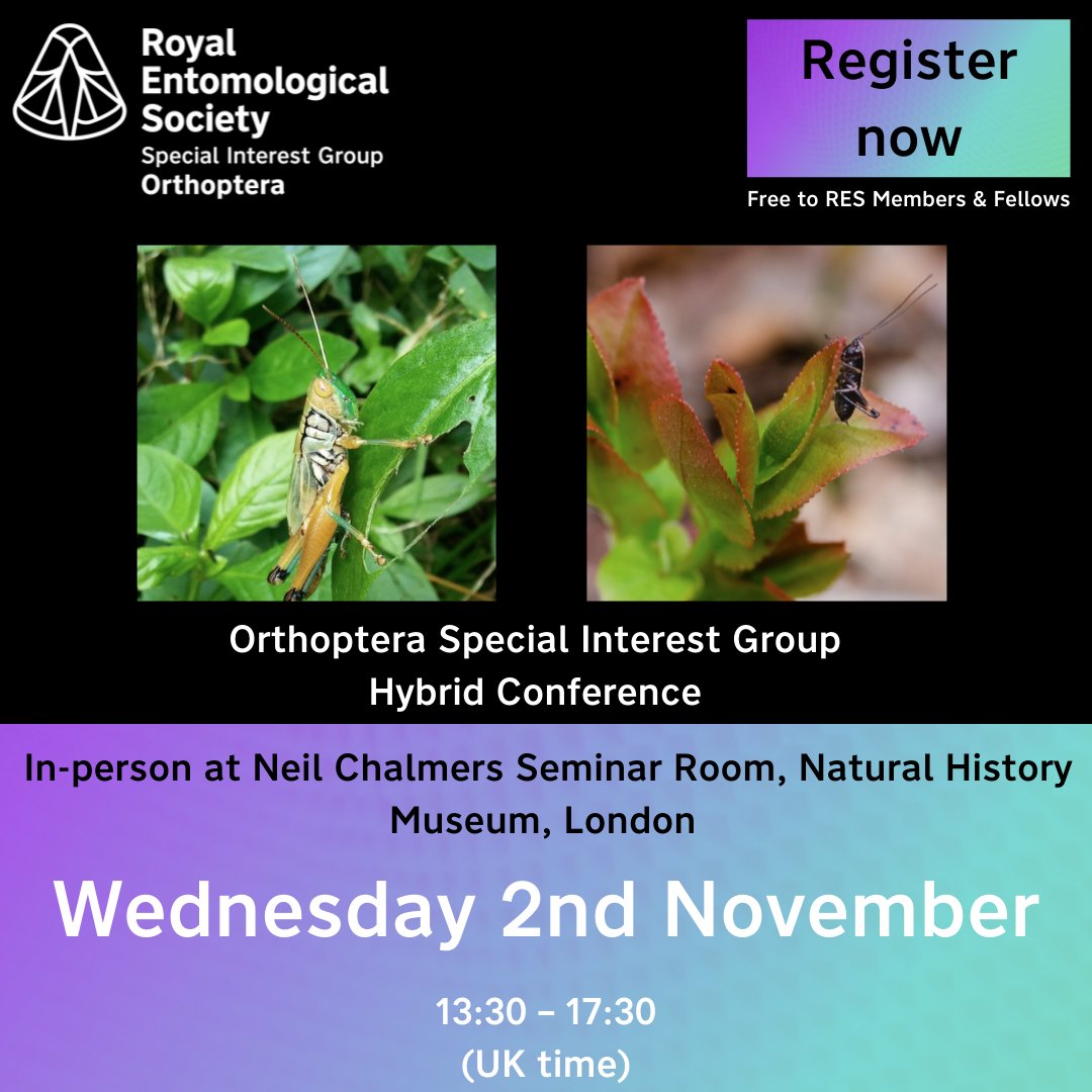 Royal Entomological Society (@royentsoc) on Twitter photo It's #today!
Join us for our #Orthoptera Special Interest Group meeting. This year meeting will be a #hybrid #event <a href="/NHM_London/">Natural History Museum</a> & livestreamed #online.
There's still time to register online - Members & Fellows can access for #free
Register here:
royensoc.co.uk/event/orthopte… It's #today!
Join us for our #Orthoptera Special Interest Group meeting. This year meeting will be a #hybrid #event <a href="/NHM_London/">Natural History Museum</a> & livestreamed #online.
There's still time to register online - Members & Fellows can access for #free
Register here:
royensoc.co.uk/event/orthopte…