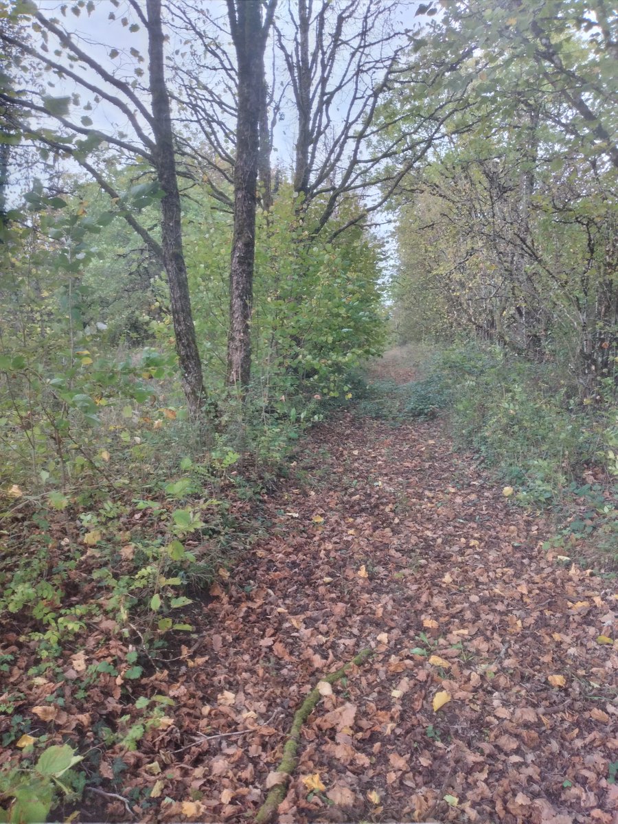 IntactProgetto's tweet image. On October 29, 2022, prof. Lahsen Khabar (@um5rabat), during his secondment at @INRAE_France, visited the truffle fields in Franche-Comté near Burgundy.  Accompanied by Gérard Chevalier, he visited the truffle farm considered the first in the world (created in 1976).