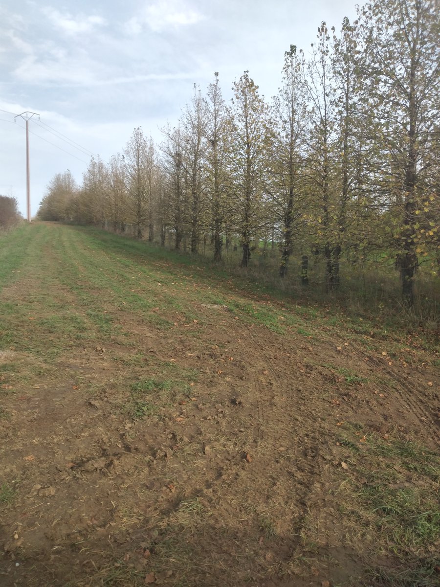 IntactProgetto's tweet image. On October 29, 2022, prof. Lahsen Khabar (@um5rabat), during his secondment at @INRAE_France, visited the truffle fields in Franche-Comté near Burgundy.  Accompanied by Gérard Chevalier, he visited the truffle farm considered the first in the world (created in 1976).