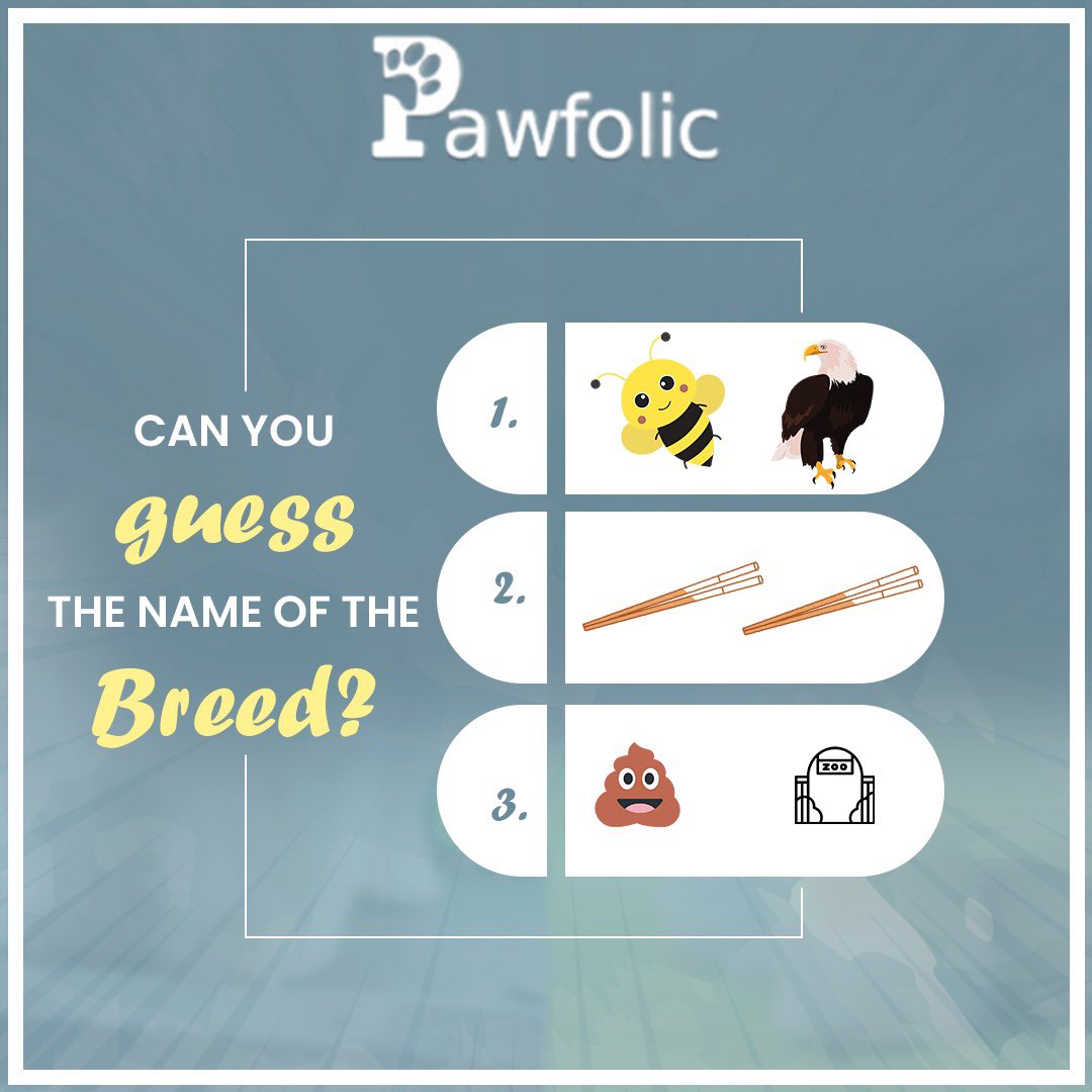 Pawfolic1's tweet photo. Guess the breed ???

Tell us in the comment section, the name of these breeds. 

#pawfolic #pawfolicpetservices #wednesdaythought https://t.co/JY6gOa3xge