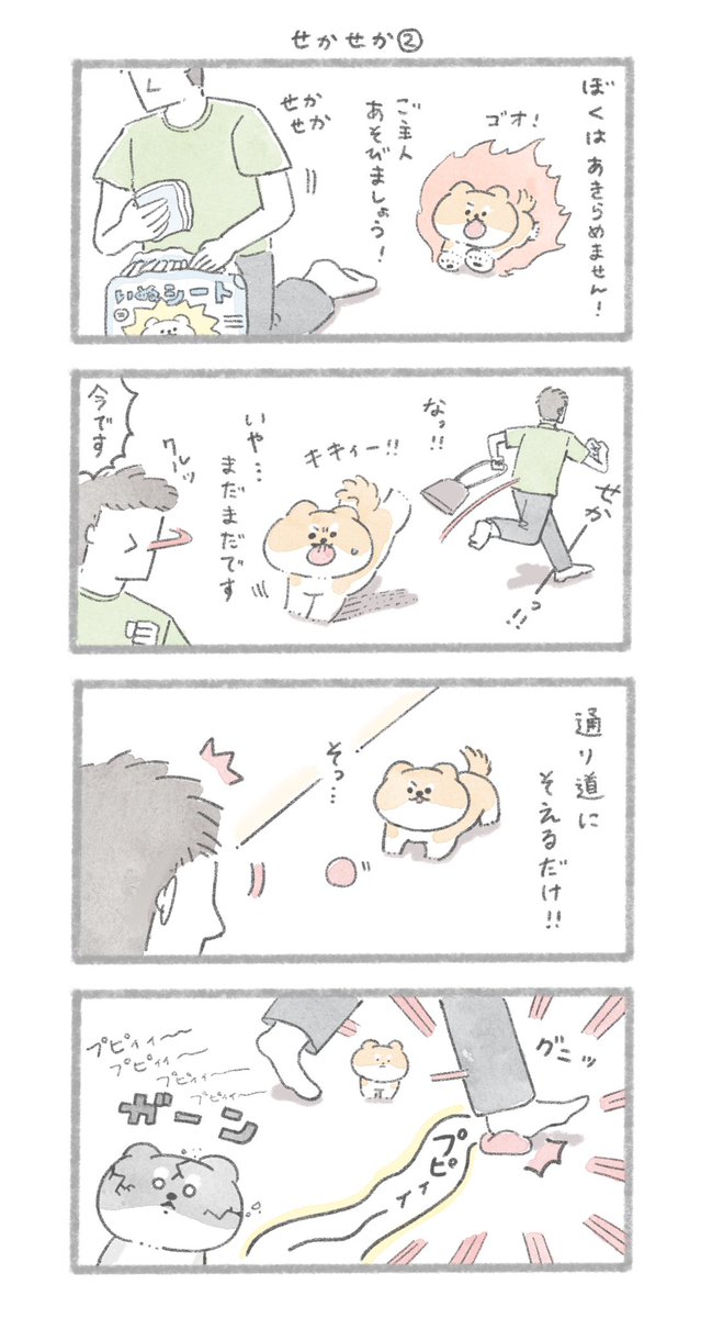 「せかせか」①と②
#こんにちはいぬです 