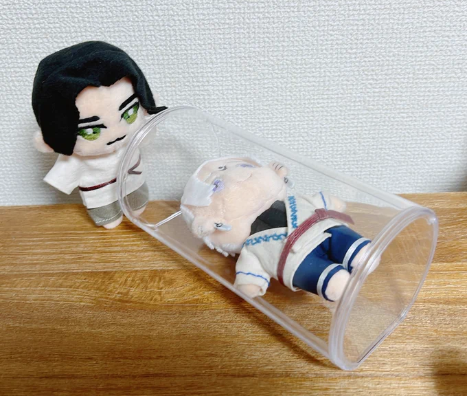 新しいエルヴァ様が届きました 