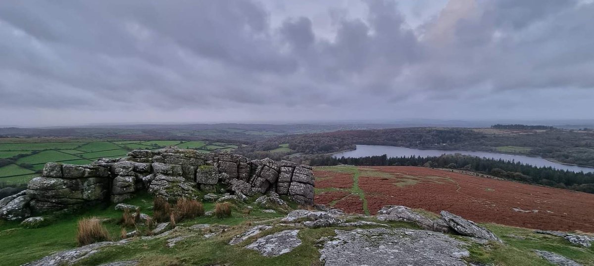 GardenSouthHams's tweet photo. #Sheepstor #Dartmoor This morning at Sunrise Walking me Border Terrier Tilly https://t.co/6nBbx8V9a6
