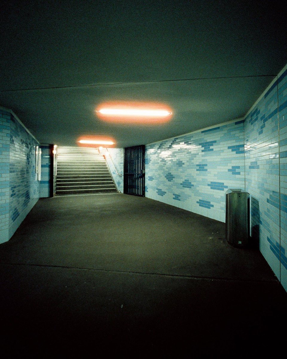 The film 🤝 the photos