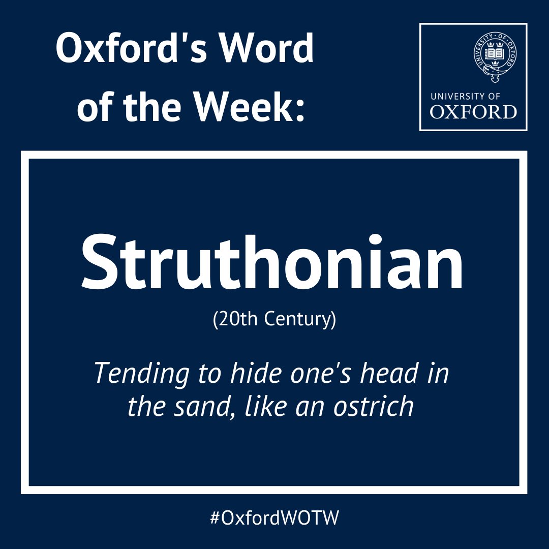 Our Oxford Word of the Week from @engfac's Prof @SCPHorobin: Struthonian: Tending to hide one's head in the sand, like an ostrich. #OxfordWOTW