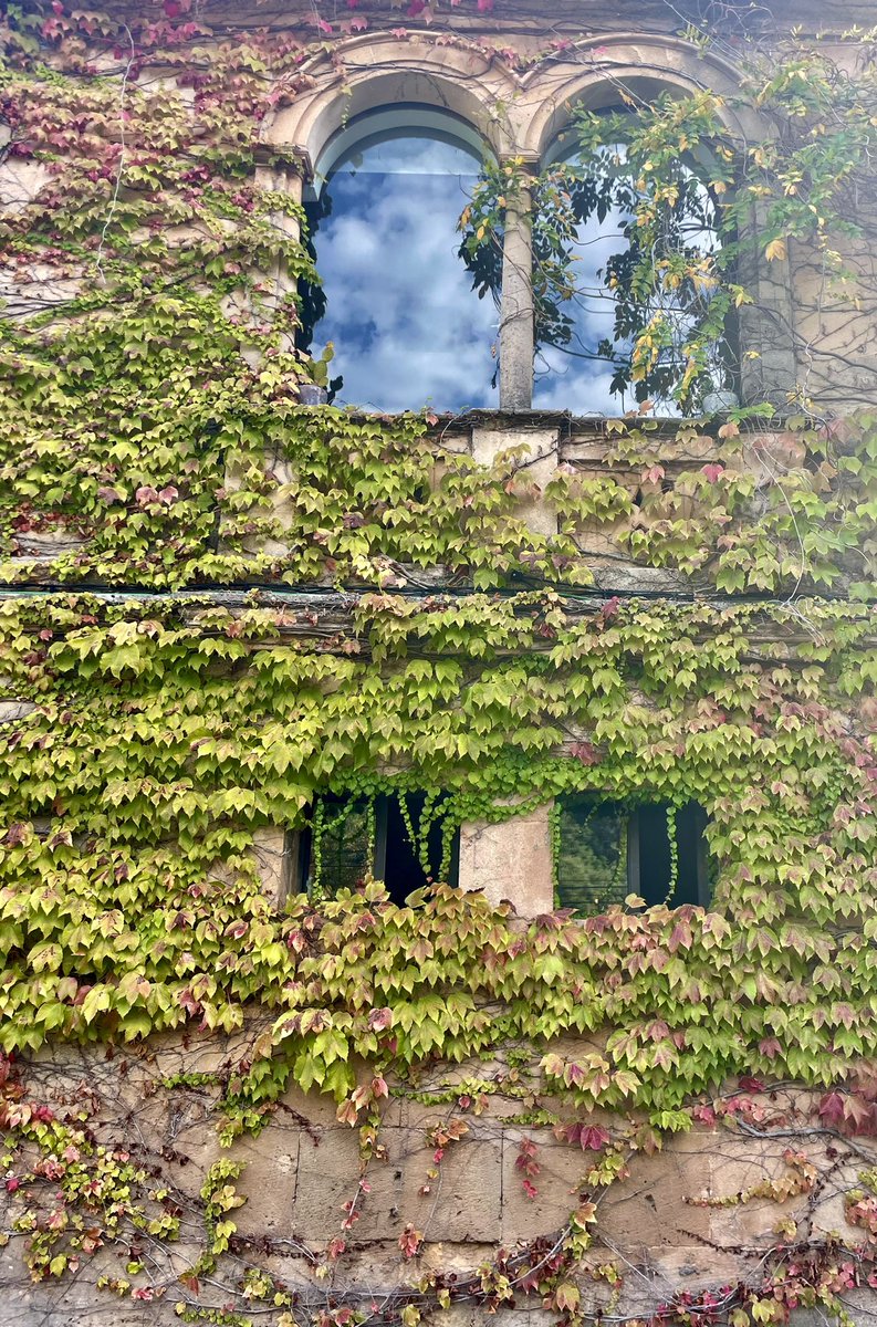 Donato Pérez tweet media