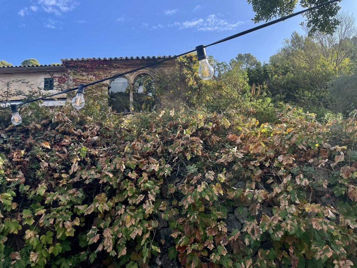 Donato Pérez tweet media