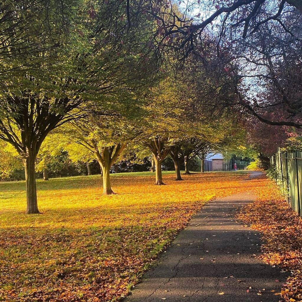Morning #walk on #streathamcommon thanks @koyahpr for sharing
#mystreatham #streatham #streathamhill #streathamhighroad #lambeth #london #streathamvale #furzedown #brixton #claphamcommon #balham #tooting #croydon instagr.am/p/Ckc6_TLq7Az/