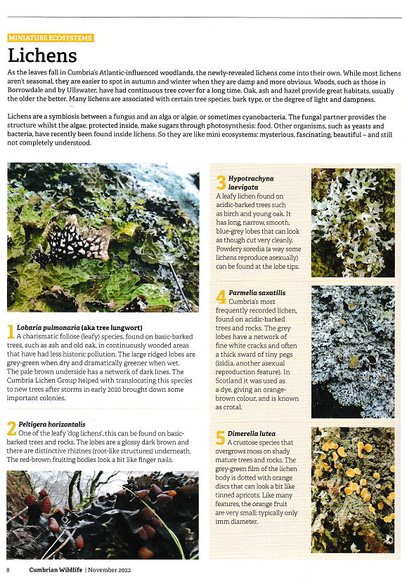 Chris Cant 💙 tweet media