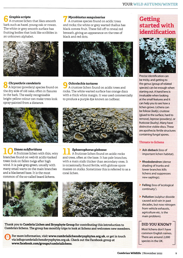 Chris Cant 💙 tweet media