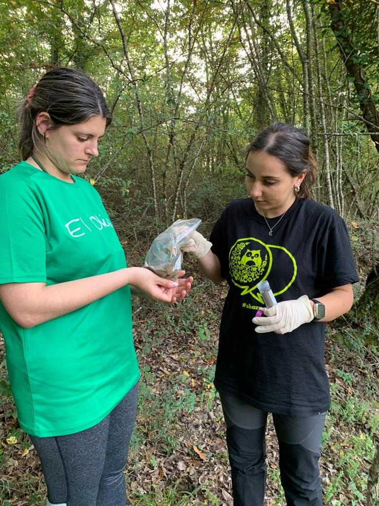IntactProgetto's tweet image. As part of her secondment at CIA Umbria, Eva Tejedor Calvo from @citaaragon (Spain) visited and took soil samples on October 26th, 2022 and some truffles during a truffle field visit in Siena province with Domizia Donini and Mara Rondolini from @UniperugiaNews (Italy).