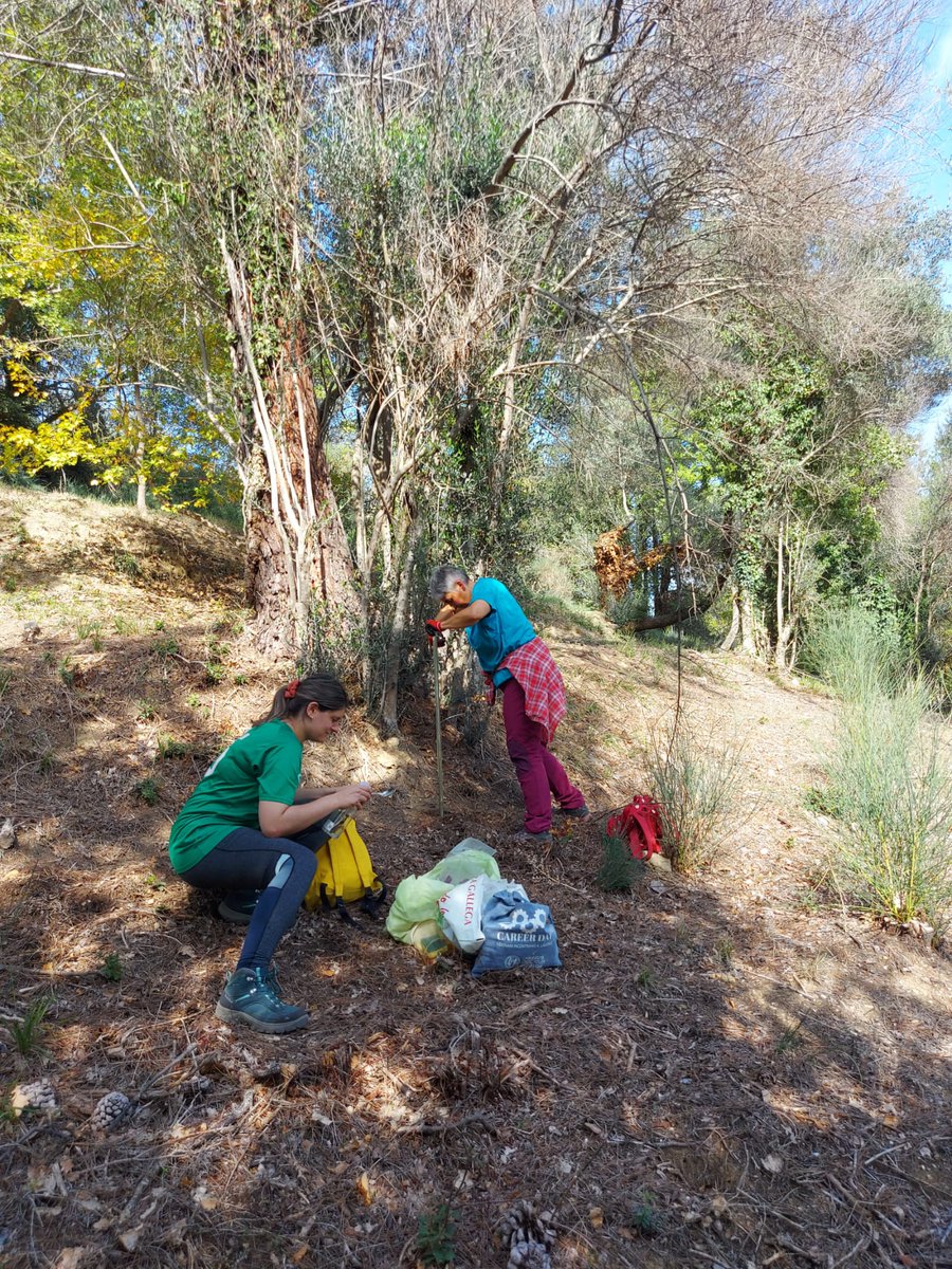 IntactProgetto's tweet image. As part of her secondment at CIA Umbria, Eva Tejedor Calvo from @citaaragon (Spain) visited and took soil samples on October 26th, 2022 and some truffles during a truffle field visit in Siena province with Domizia Donini and Mara Rondolini from @UniperugiaNews (Italy).