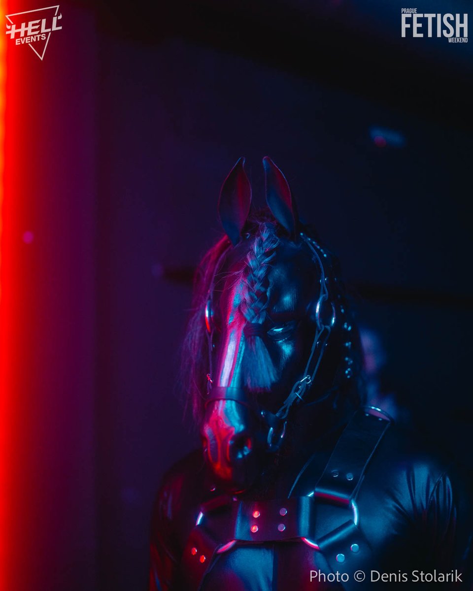 ArchonStallion's tweet photo. Prague fetish weekend 2022 #ponyplay # ponyplayer #horse #stallion https://t.co/eFCPMNbAmw