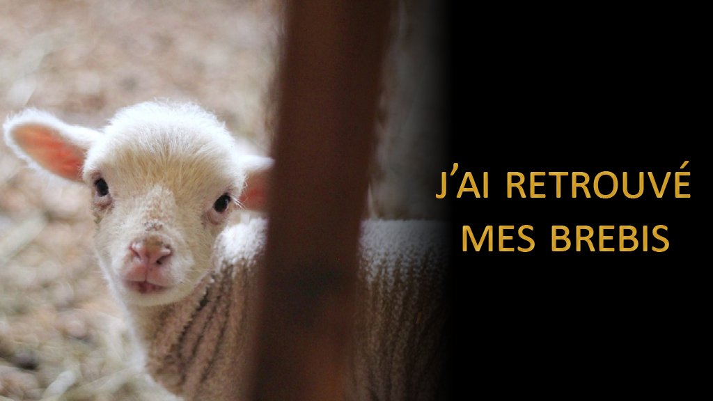 vaticannews_fr's tweet image. 🪶 Évangile du jour | Jeudi 3 novembre
(Lc 15, 1-10)

« Réjouissez-vous avec moi, car j’ai retrouvé ma brebis. »

→ bit.ly/3gWyCUX