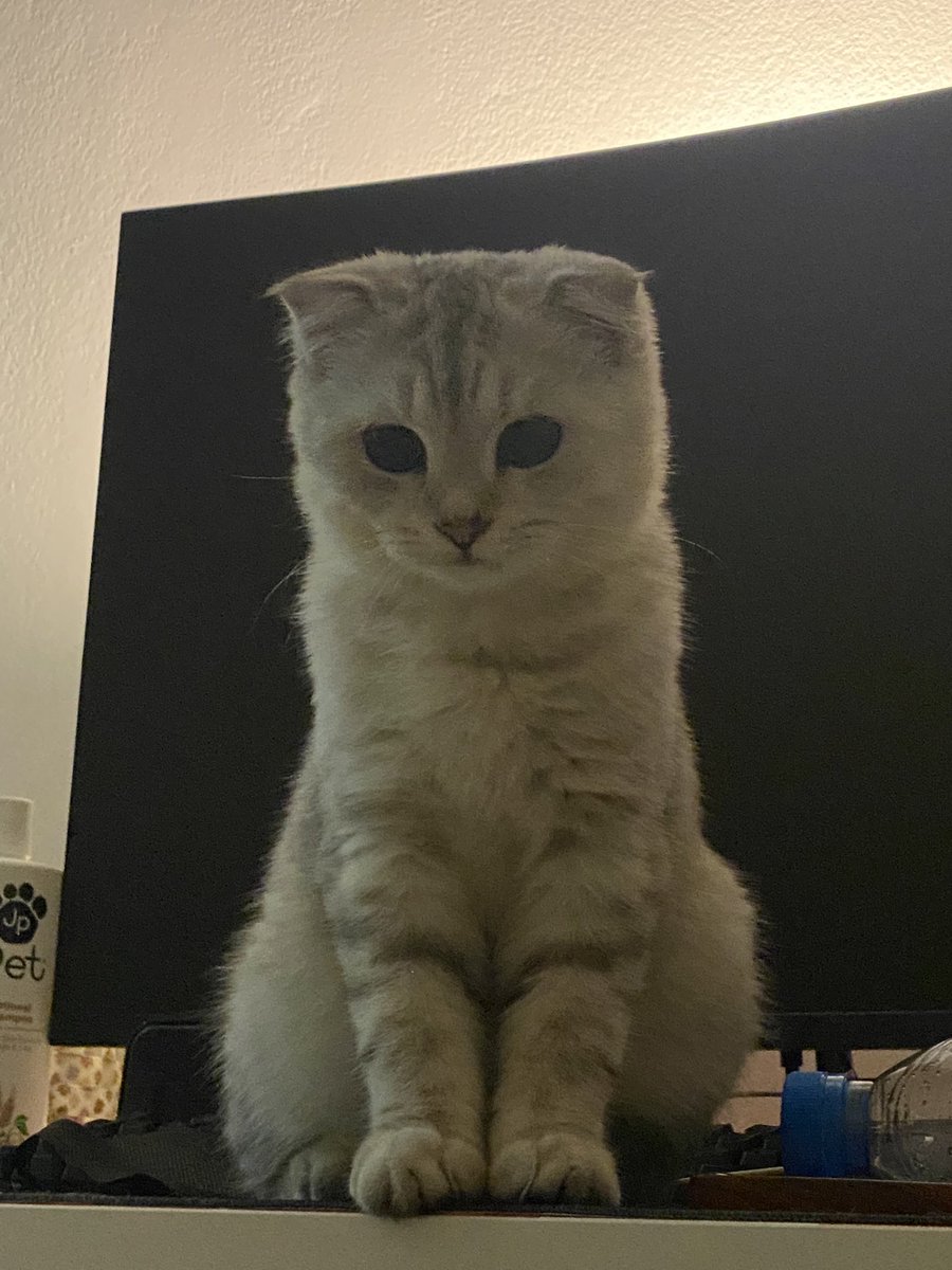 นั่งจ้องทำไม ฮารุ!