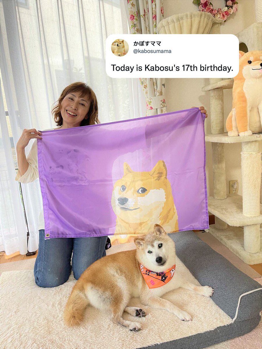 Inquirer on Twitter "HAPPY BIRTHDAY, KABOSU! 🐶🎂 LOOK Kabosu, the