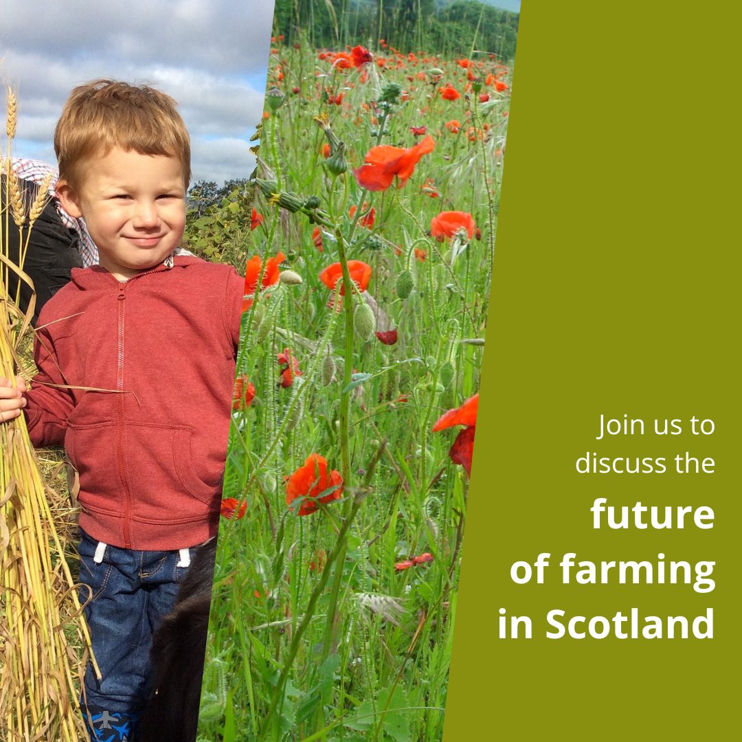 Propagate Scotland tweet media