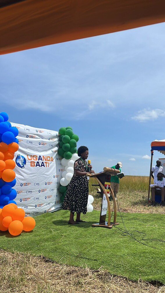 Beinomugisha_'s tweet image. Forests are very important and we need them, leaving alone oxygen, there quite a number of advantages  ranging from providing habitats for animals and livelihoods for humans, forests also offer watershed protection
#UGBaatiNFA 
#EveryTreeCounts