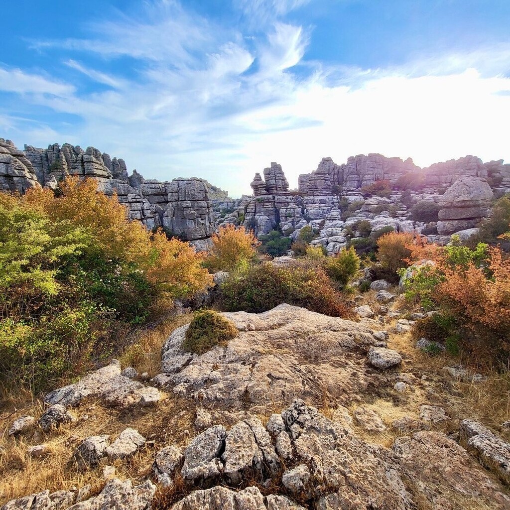 Ap46lasPedrizas's tweet photo. Recorre las rutas de Antequera y conecta con la naturaleza. 🥾
📸: @torcal_de_antequera
📍 Antequera, Málaga
#AP46LasPedrizas #AP46 #Málaga #spain #españa #visitspain #spain_vacations #estaes_malaga #citybreak #travel #costadelsol #visitmalaga #malag… https://t.co/XrPZN0GV8X https://t.co/xcahIVtzEF
