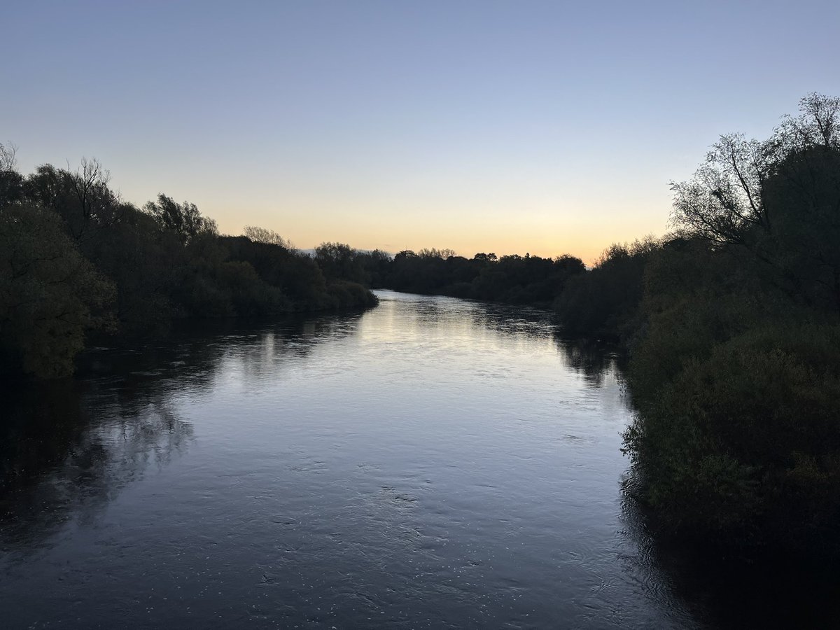 emma redding tweet media