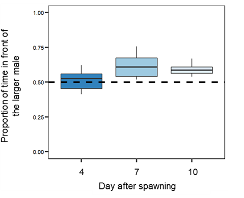 SantacaMaria's tweet photo. Furthermore, only when tested 7 and 10 days after spawning, females showed a clear preference toward the biggest of the two males. Thus, our study highlights the importance of considering female receptivity in future studies assessing mate choices. https://t.co/fMchB99yjX