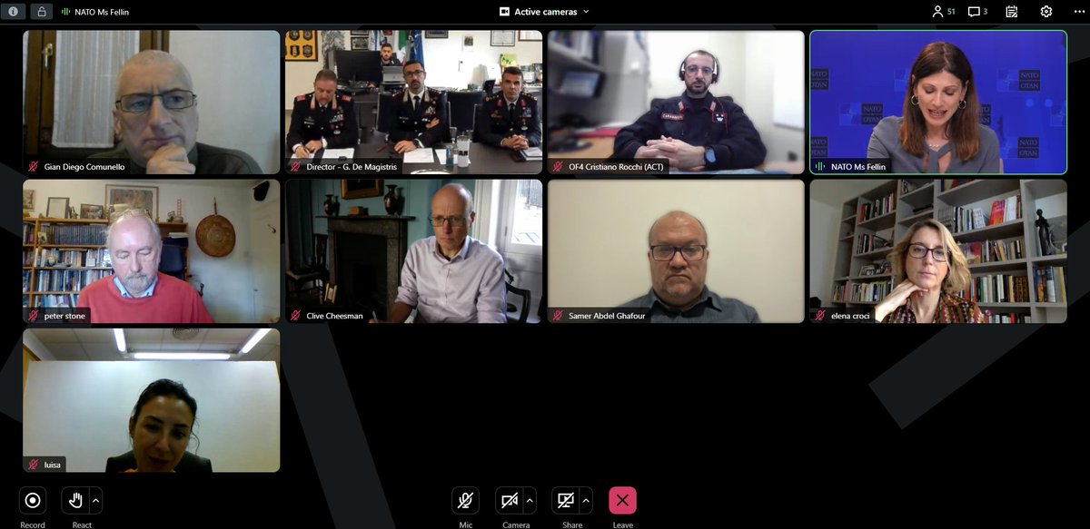There is a #StabilityPolicing dimension in both #CulturalPropertyProtection and #HumanSecurity. Thanks to @irenefellin #NATO SGSR for @NATOWPS participating in the @NSPCOE #CPP Network's plenary VTC #WeAreNATO #StrongerTogether