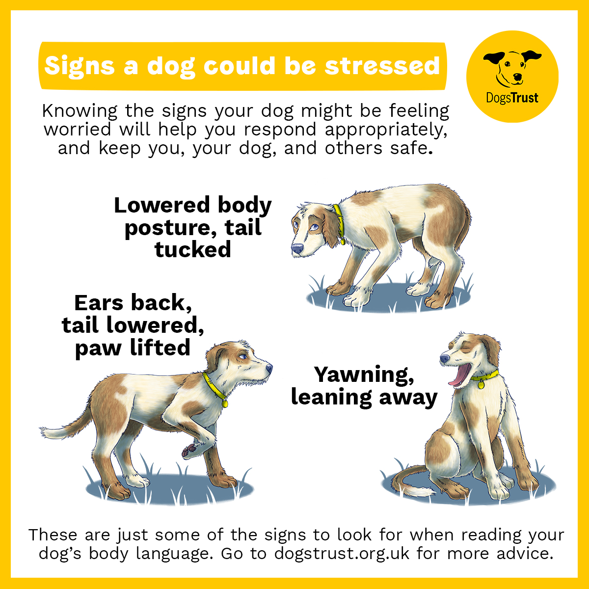 DT_Newbury's tweet image. It is #StressAwarenessDay and a very autumnal Hermy-Wormy (AKA Hermione) wanted to highlight some of the signs that a dog could be stressed (swipe to see 👉👉👉).

#stressawareness #dogbodylanguage #goodtoknow #terrier #hermywormy #adoptme