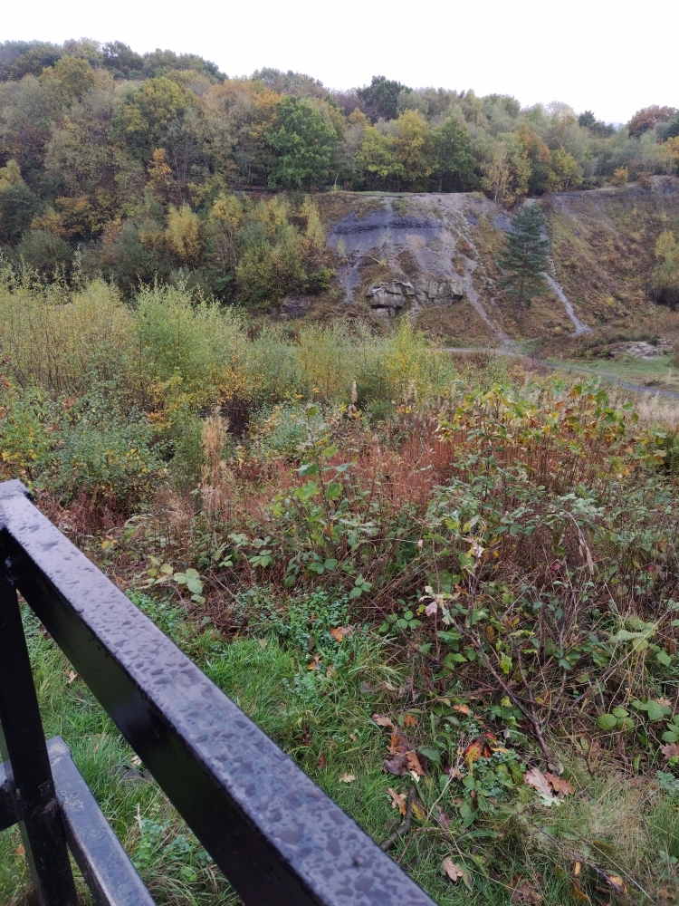 More of our 'adventure' at Saltwells Nature Reserve ......  exploring the meadows, canal and Clay Pit.