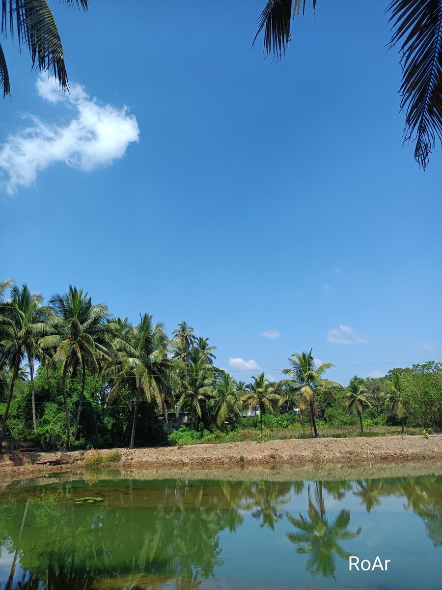 RoarWeather's tweet photo. #Goa #weather 
2 Nov 2022 .. 2.30 pm

🔰North Goa is breezy today..
 Mostly #Sunny 

Lower max than yday &amp; a bit higher min today (19.4 c) as well compared to yday (17.6 c) https://t.co/cpFVOnDIcp