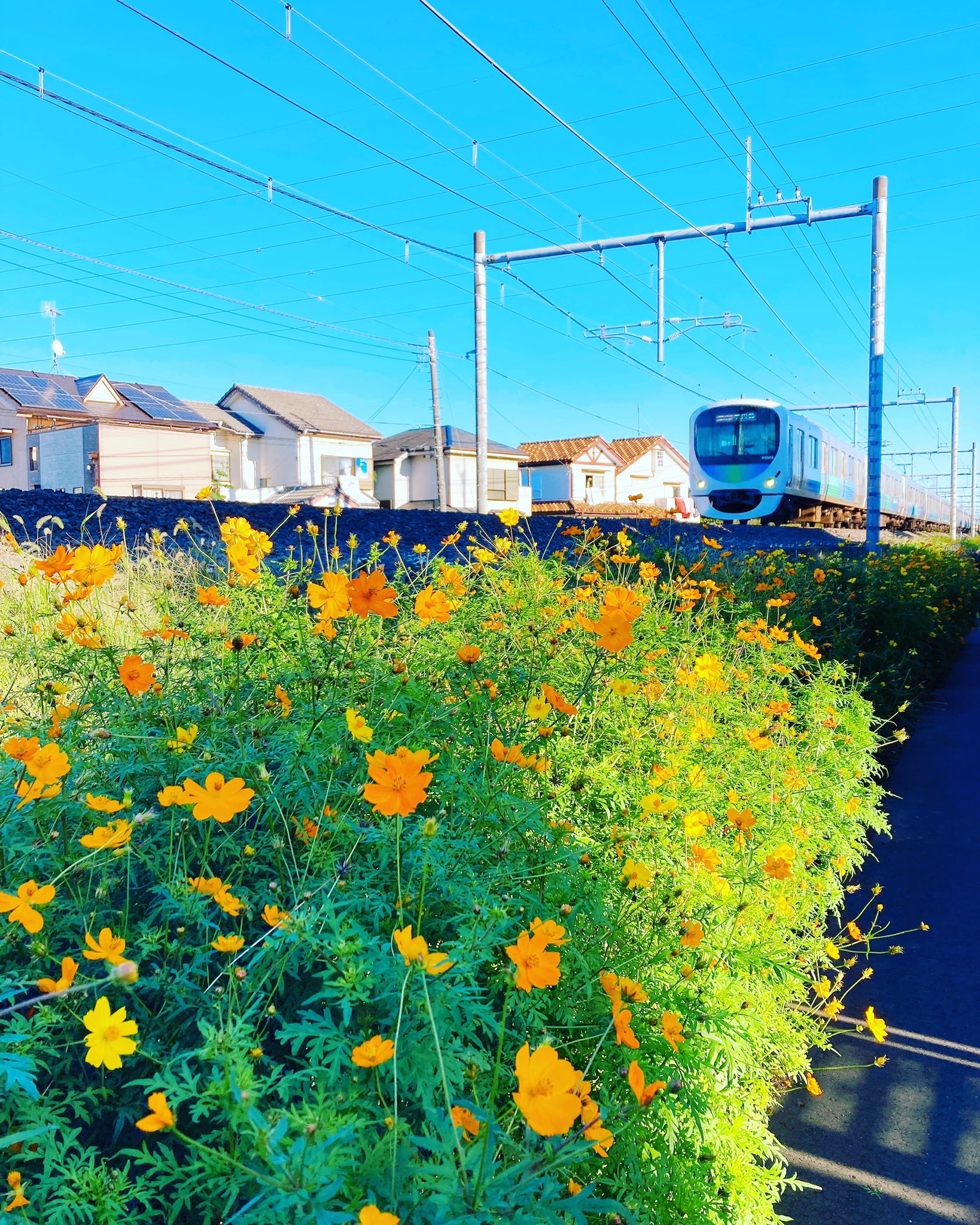 麺屋こころ狭山入曽店 Kokoro Sayama Twitter