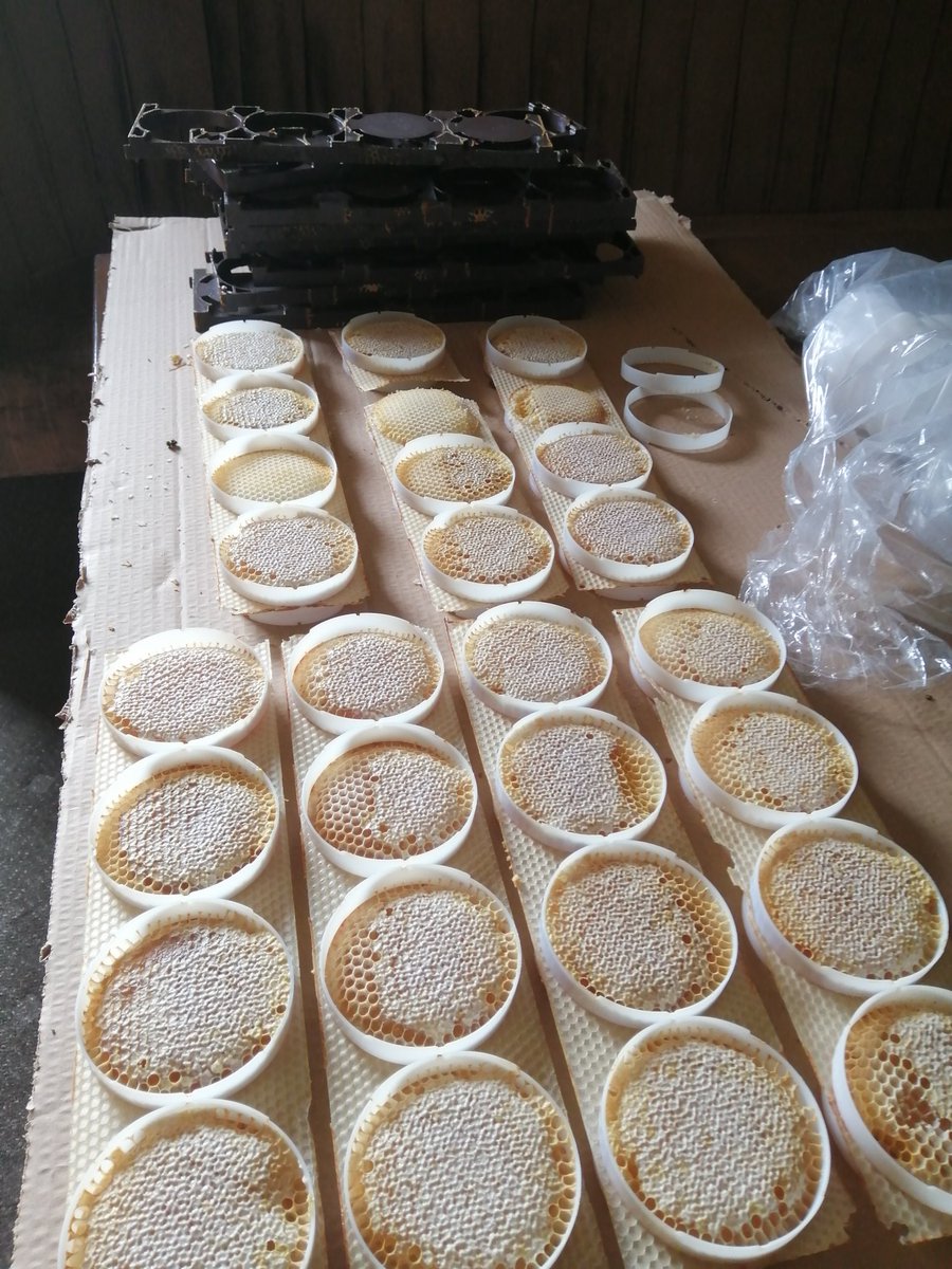 Tim Hewer tweet media