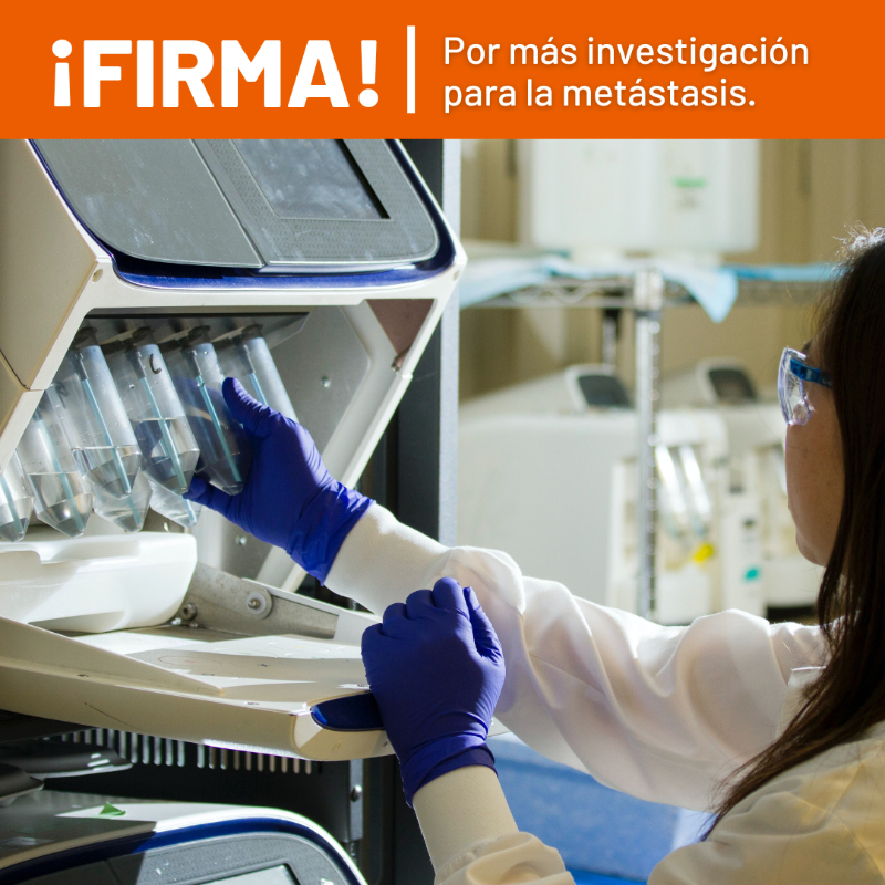 criscancer's tweet photo. Firmar esta petición solo te llevará unos segundos ⏳​ y nos estarás ayudando defender la investigación de la metástasis, causa principal del 90% de las muertes por cáncer.