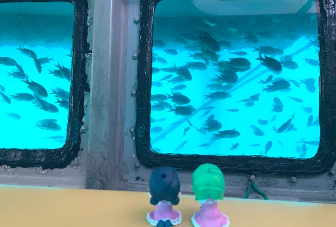 天然の水族館はとっても楽しかったです。 イルカ号…オススメですぞ!◉▽◉うぴょ#伊東散歩#あまんちゅ散歩 