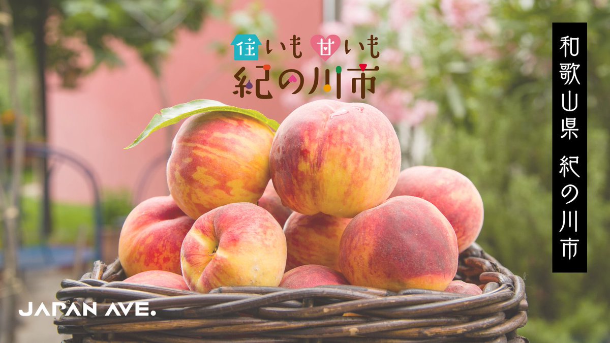 JapanAve's tweet photo. 和歌山県紀の川市主催のキャンペーン景品に
JAPAN AVE.製ドライブレコーダー (GT65) 
が選ばれました！

和歌山県紀の川市にお住まいの方は
ぜひご参加くださいね❗️

▼ 企画詳細はこちら
https://t.co/xjWCleiA2R

#japanave #ジャパンアベニュー #紀の川市 #和歌山県 #キャンペーン https://t.co/agdgmBV4QP