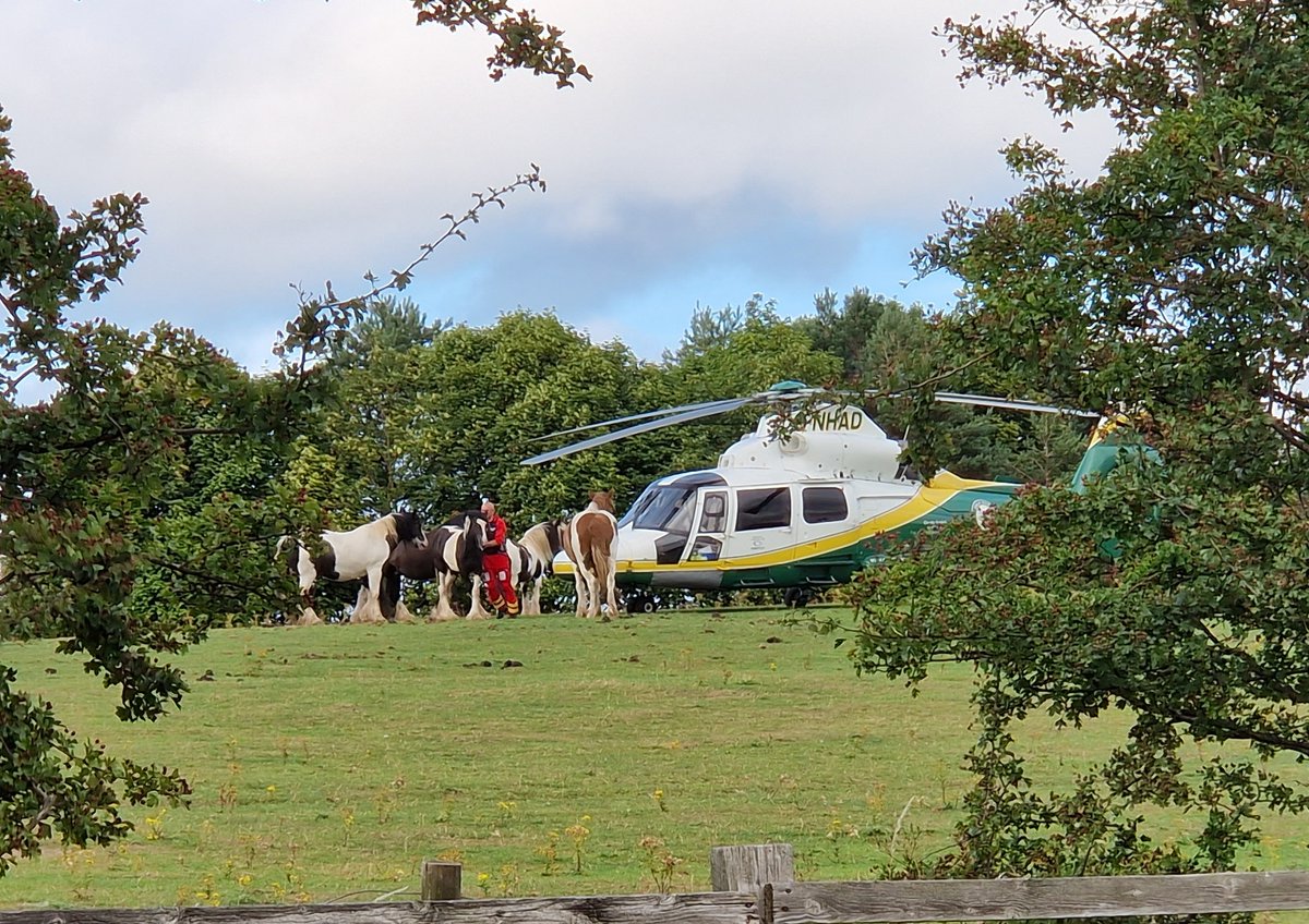 @GNairambulance What about a horse 😂