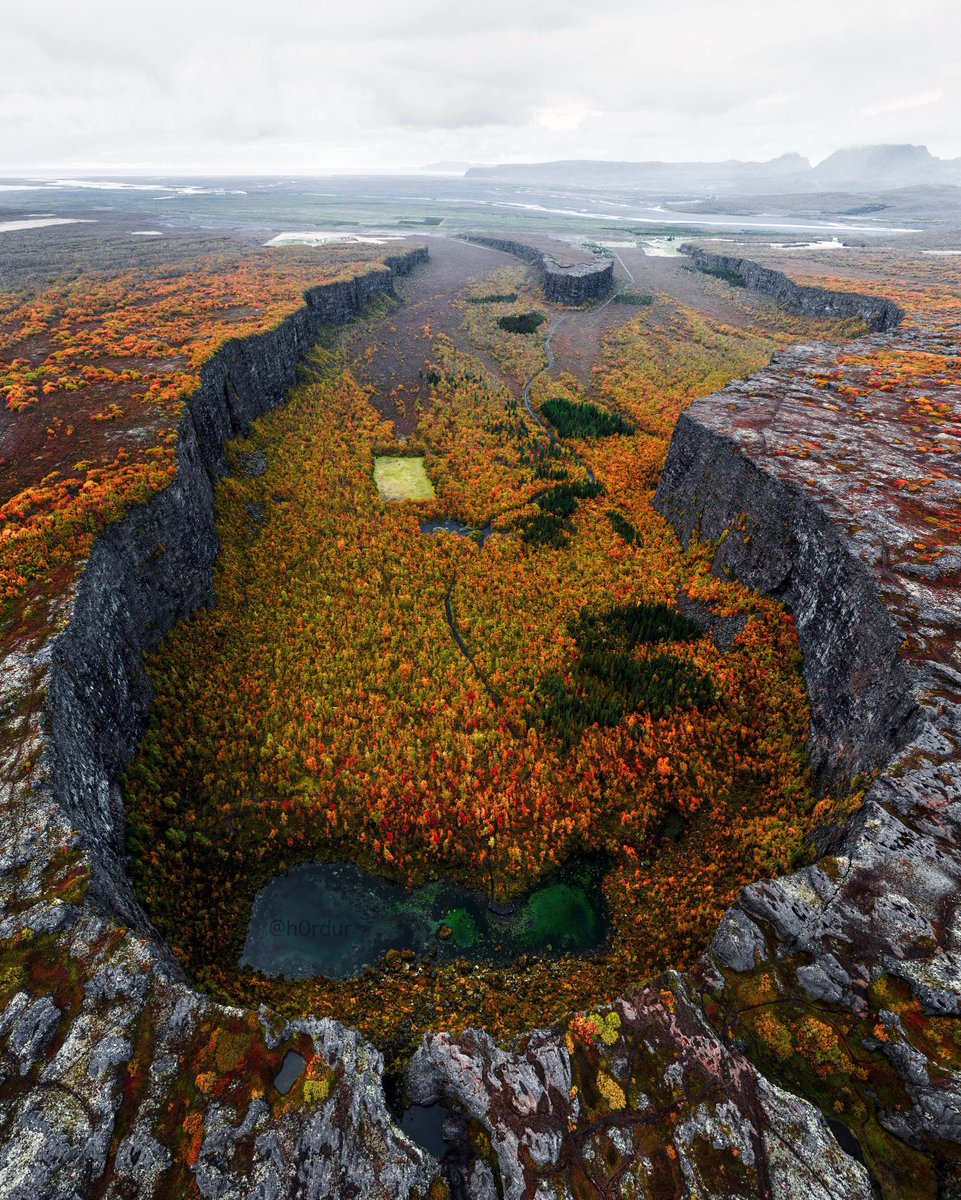 Hörður Kristleifsson tweet media