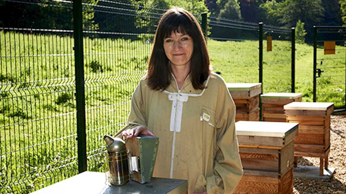 Congratulations to @ElliLeadbeater1 who has been awarded this year's Scientific Medal of the Zoological Society of London for her outstanding research on the ecology and evolution of social insects! 🐝👏🏅
You can find more about Elli's research here: ellileadbeater.wixsite.com/insectcognition