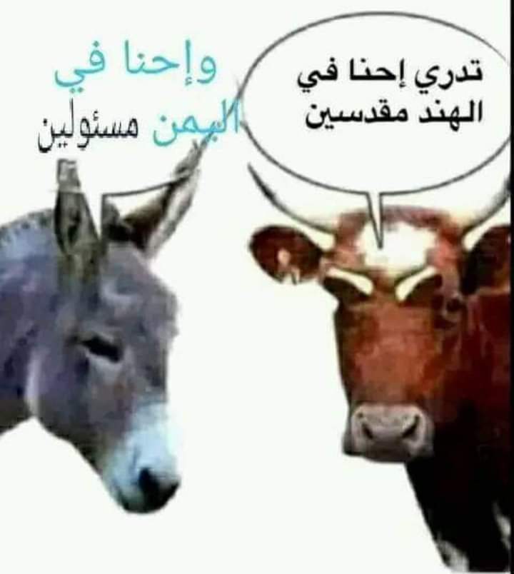 breeg_alshms's tweet photo. https://t.co/bbyp2QK0q7