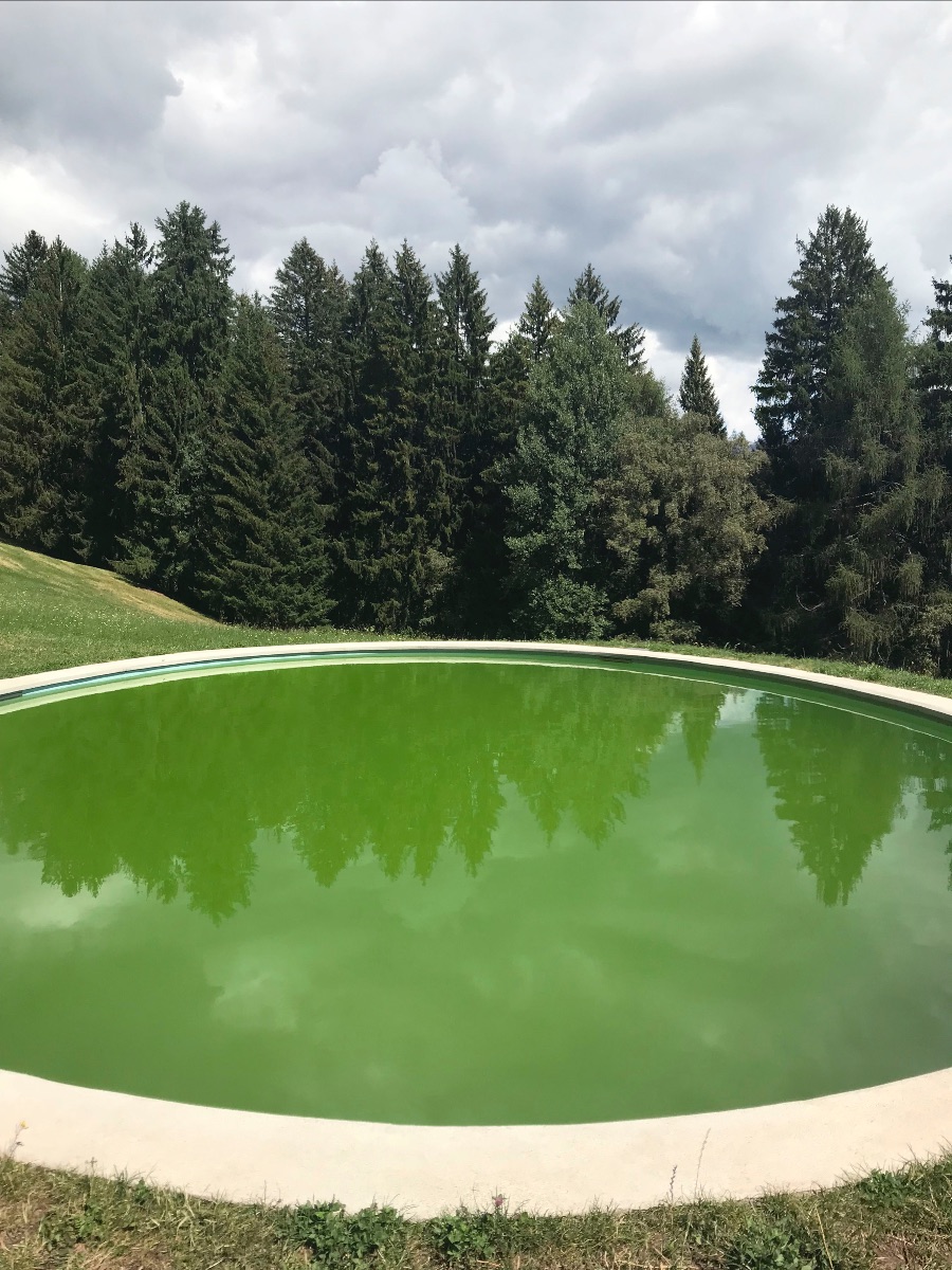 Evy Jokhova | INVITATION: 'Three Colours: Green' 3+1 Arte Contemporânea | Lisbon | Opening 11 November - mailchi.mp/8befeef56cc6/n…