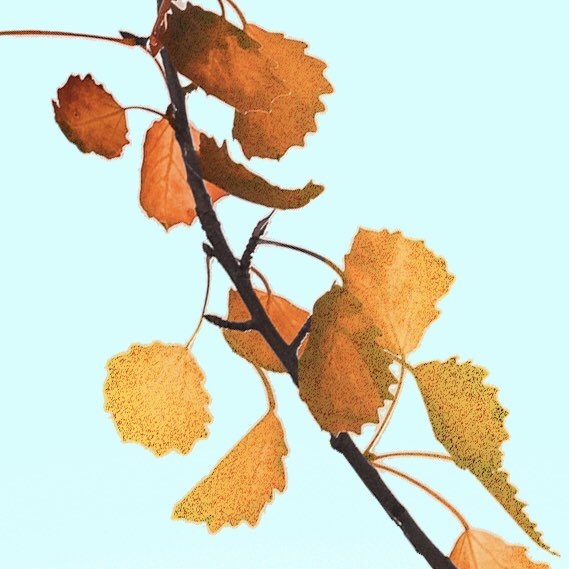 MusicallyEicki's tweet photo. Pre-save my track “Automne” to #spotify !
https://t.co/wPT7QBGFV3…+
This #LoFiBeats is obviously a way to celebrate #Autumn season, but also to celebrate those nice #sunset we got this October!
#chillhop #chillmusic #LoFiHipHop #frenchbeatmaker #eicki https://t.co/5pCsFSAJeO