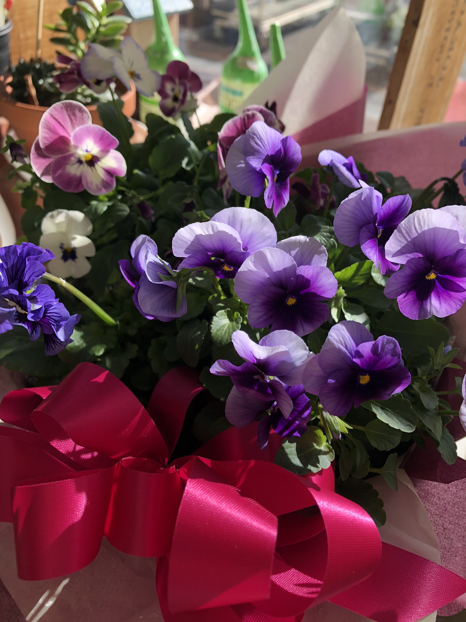 あおいフローリスト Aoi Florist Twitter