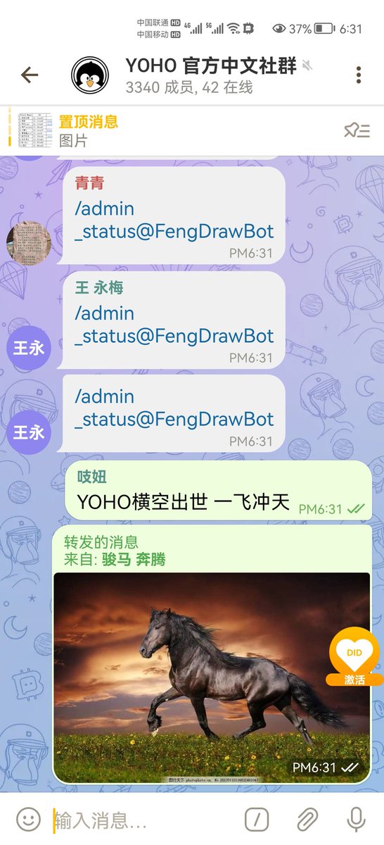 YOHO横空出世 一飞冲天