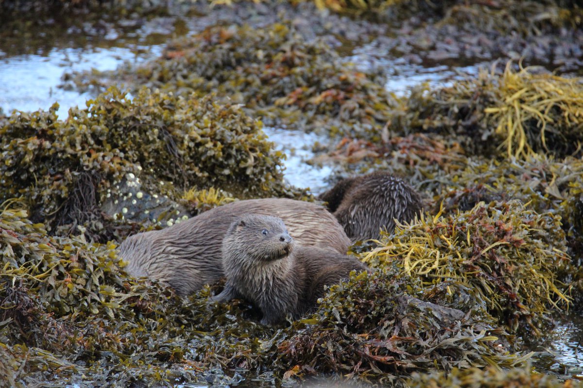 Sharna🍃 tweet media