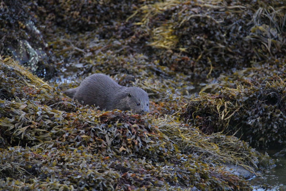 Sharna🍃 tweet media