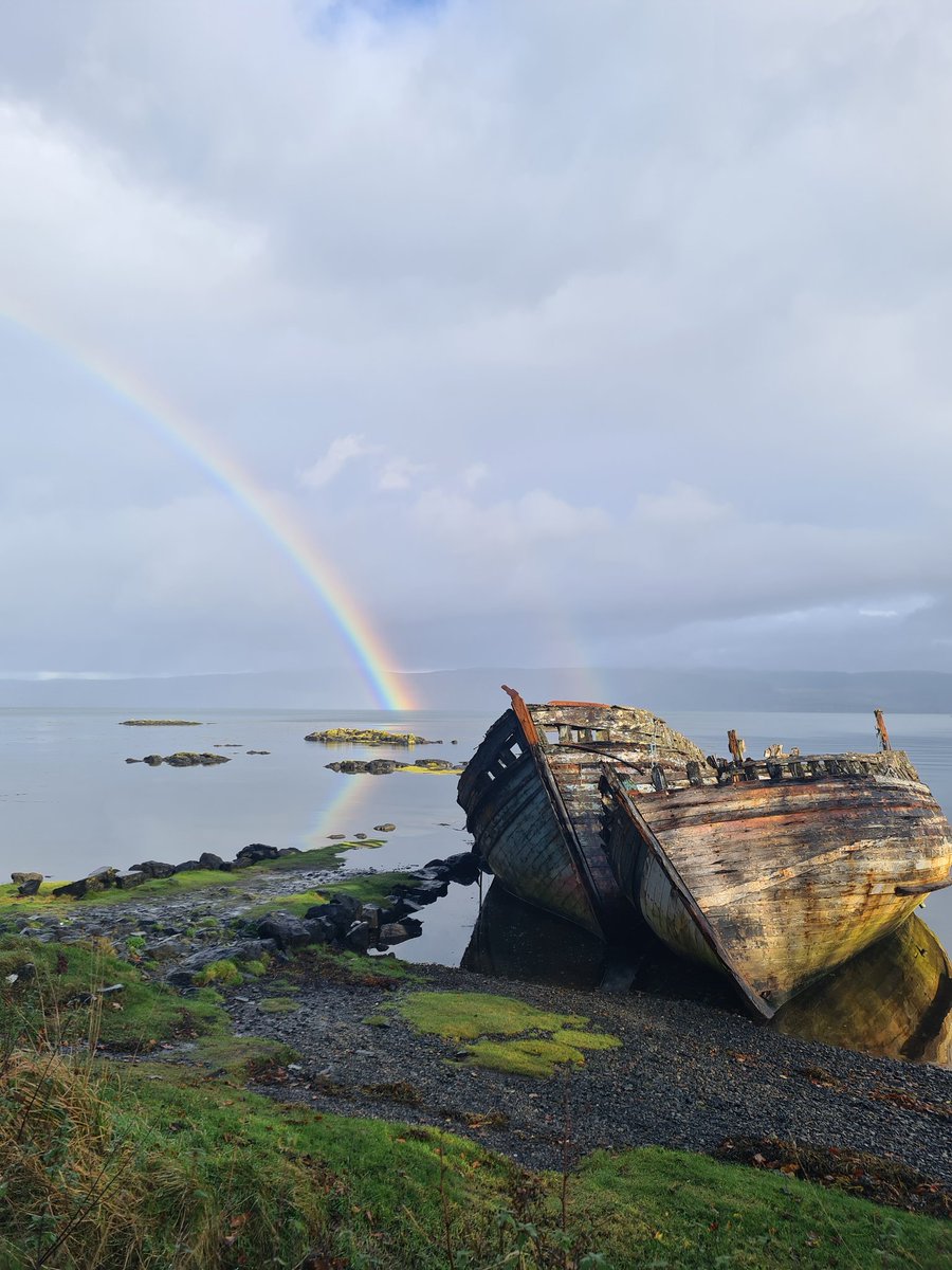 Sharna🍃 tweet media