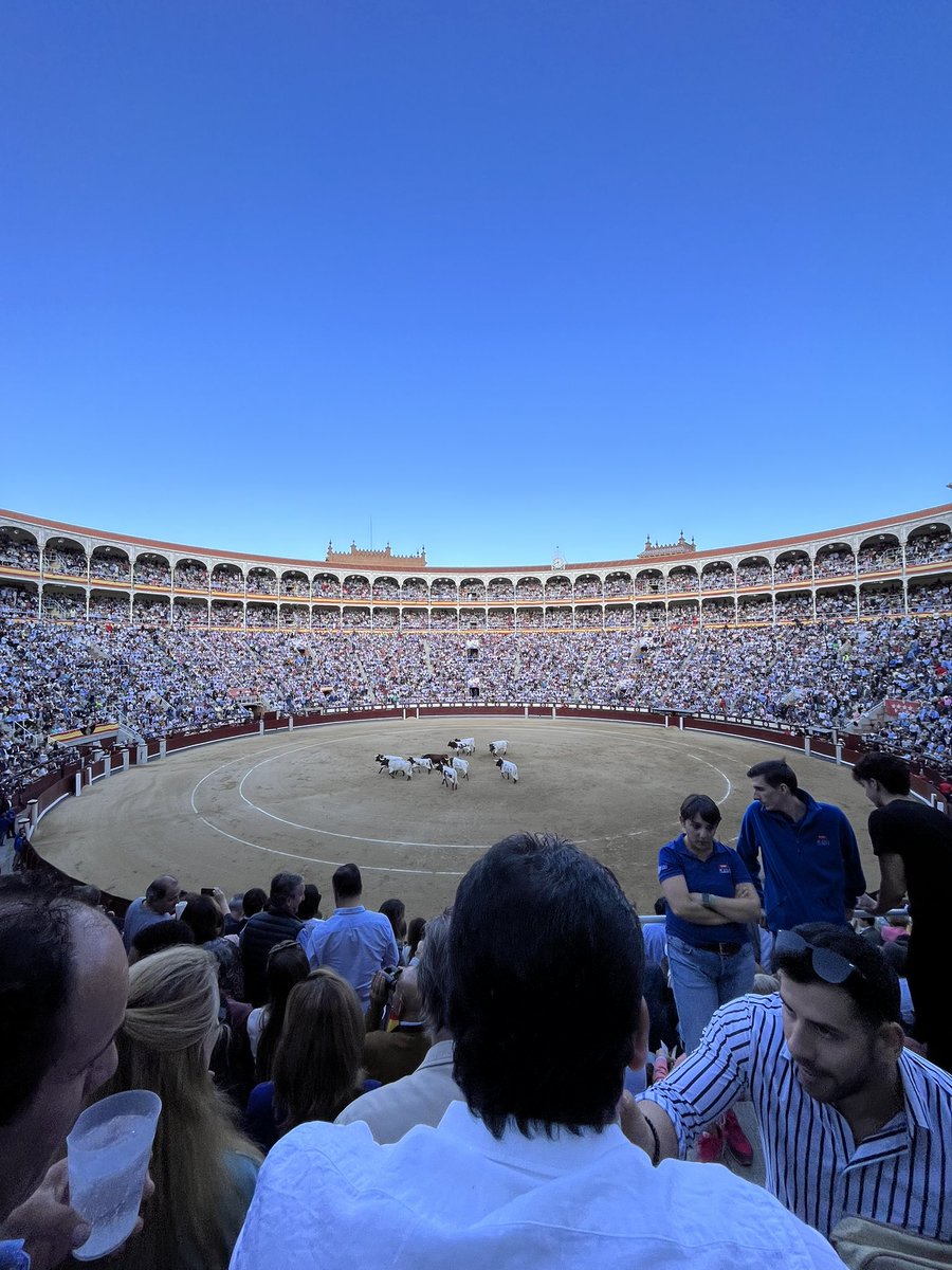 annaladet's tweet photo. #OuiàlaCorrida #liberte https://t.co/f8GMqBL3rv
