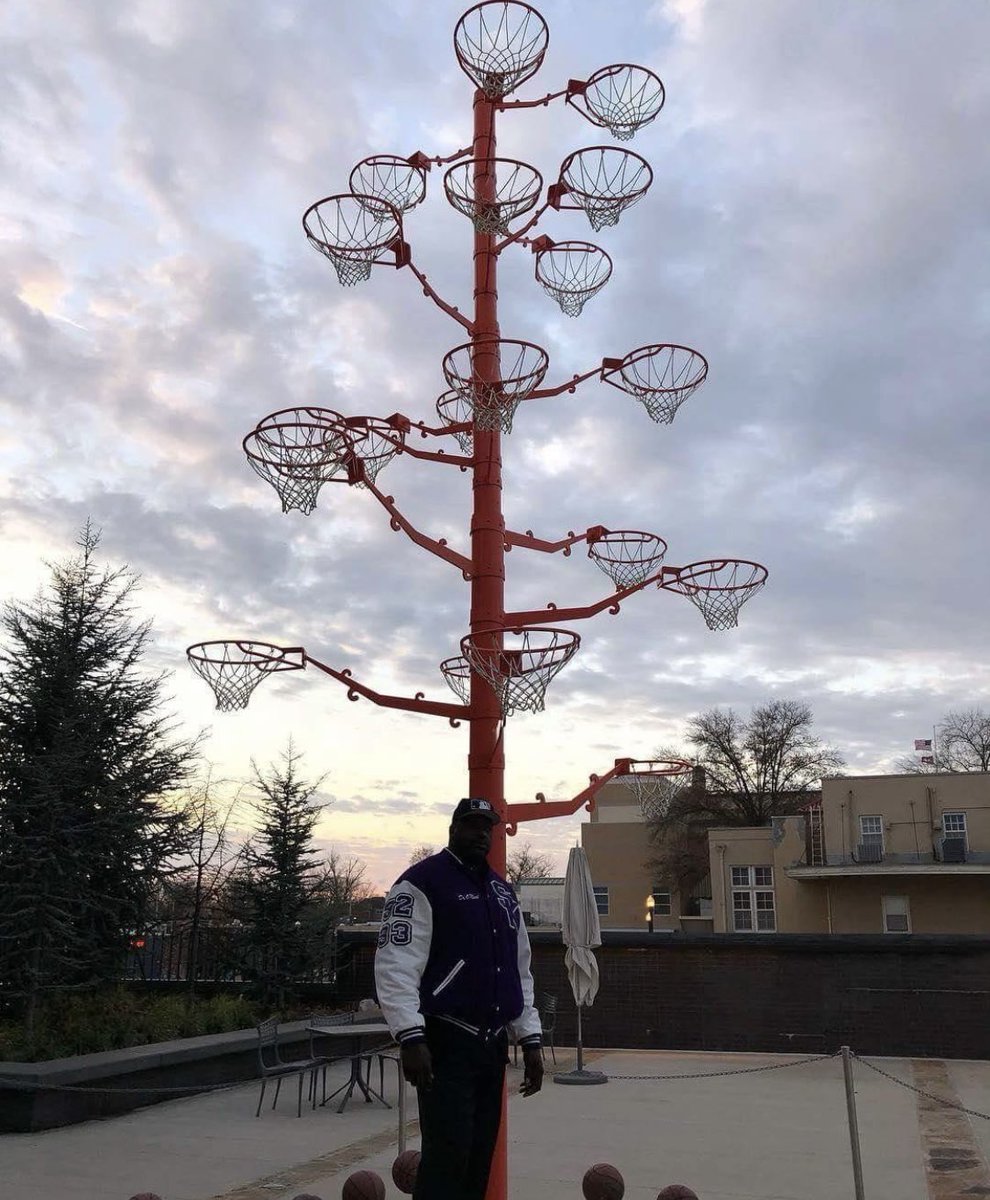 Basketball Tree 🌱