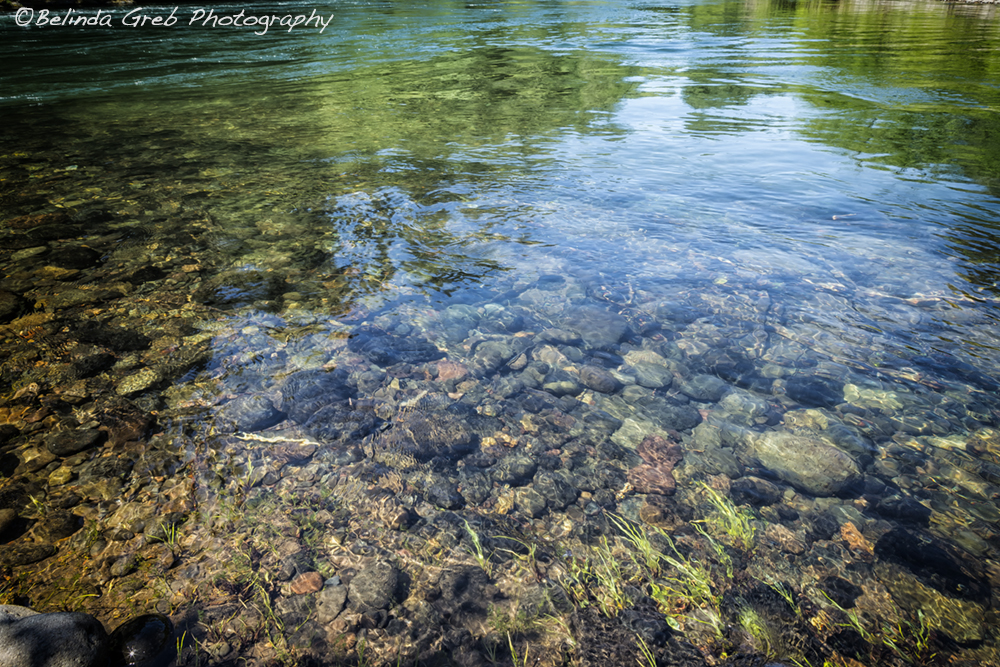 BelindaGreb's tweet image. Like this river holding both what is below &amp;amp; above its surface, we contain more than that which is within us. BG fineartamerica.com/featured/withi… More at belinda-greb.pixels.com
#photography