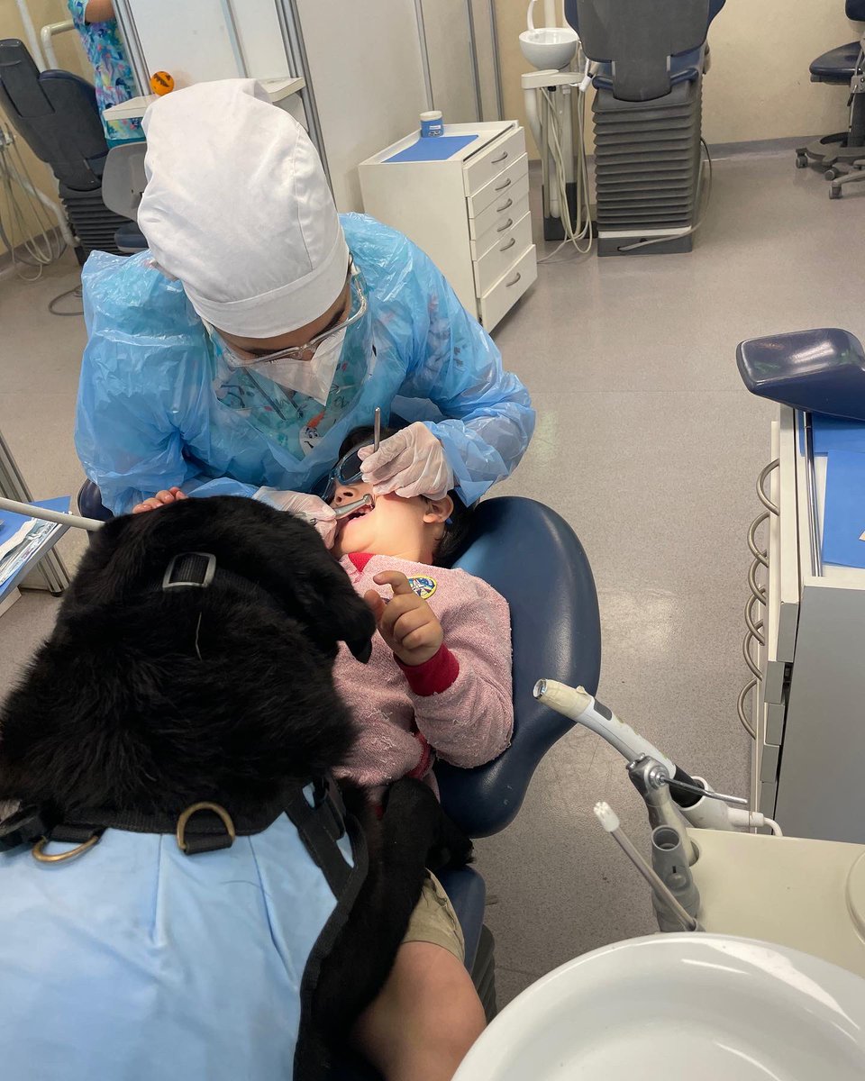 corpjuntoati's tweet photo. Esta debe ser una de las pegas más reconfortantes que existen, acompañando a niños con #autismo en el #dentista junto a Maira #perrodeterapia https://t.co/Ndj51cieOw
