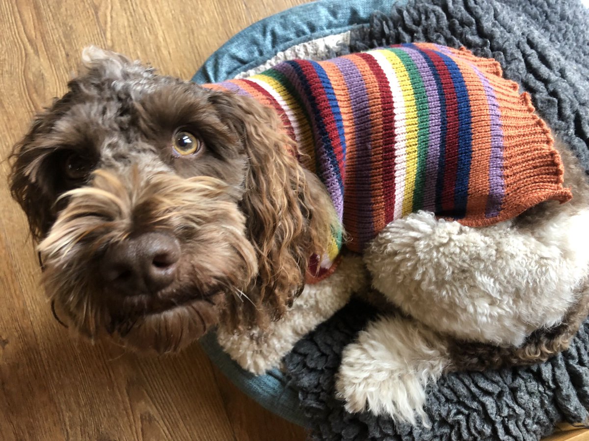 Today we are serving winter woollens 💅🏼 #AniAdventures